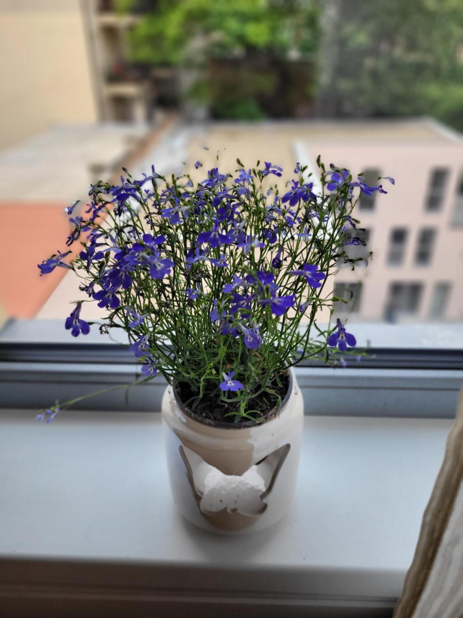 Apartment Klidne Misto Pro Tebe Prag